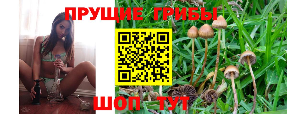 Псилоцибиновые грибы MAGIC MUSHROOMS Ялуторовск